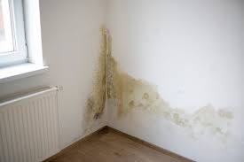 best waterproofing services in hyderabad