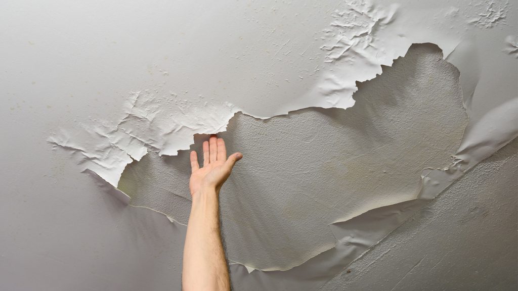 best waterproofing services in hyderabad
